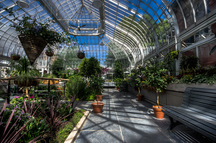 westmount greenhouse romantic proposal idea